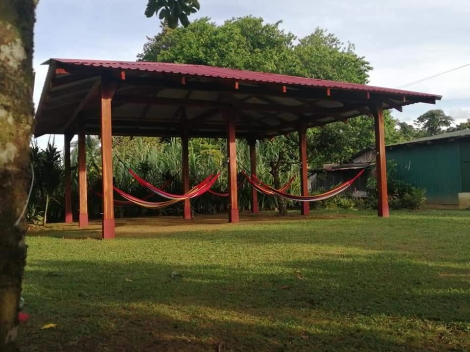 Cabanas Daneysha Tortuguero Eksteriør bilde